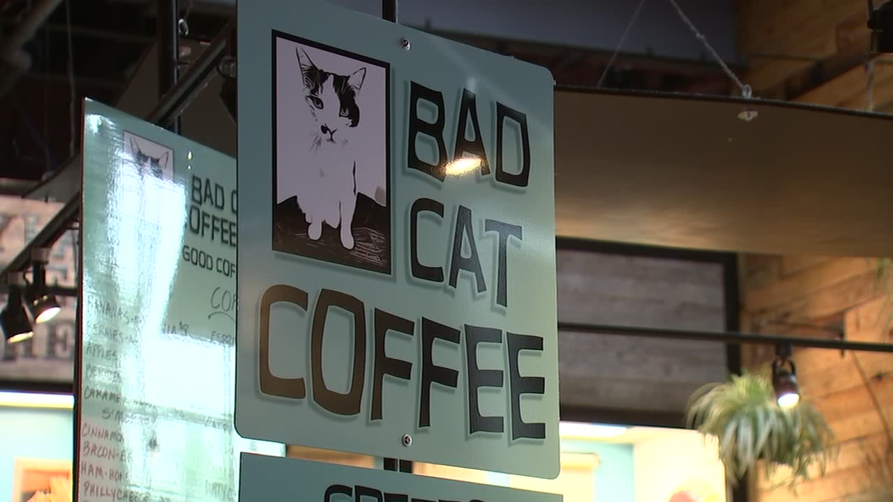 Bad Cat Coffee Co.