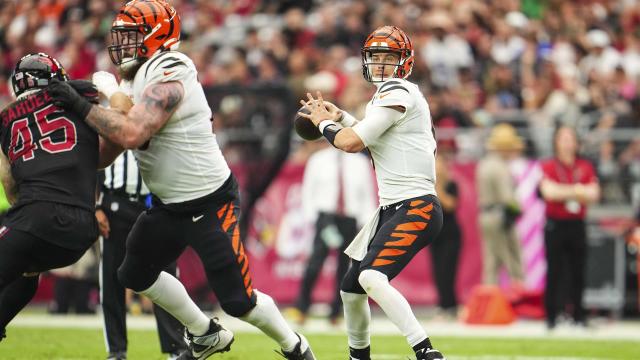 Bengals' Higgins has fractured rib; team not considering sitting