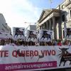 Spagna, migliaia in piazza a Madrid: basta con la corrida