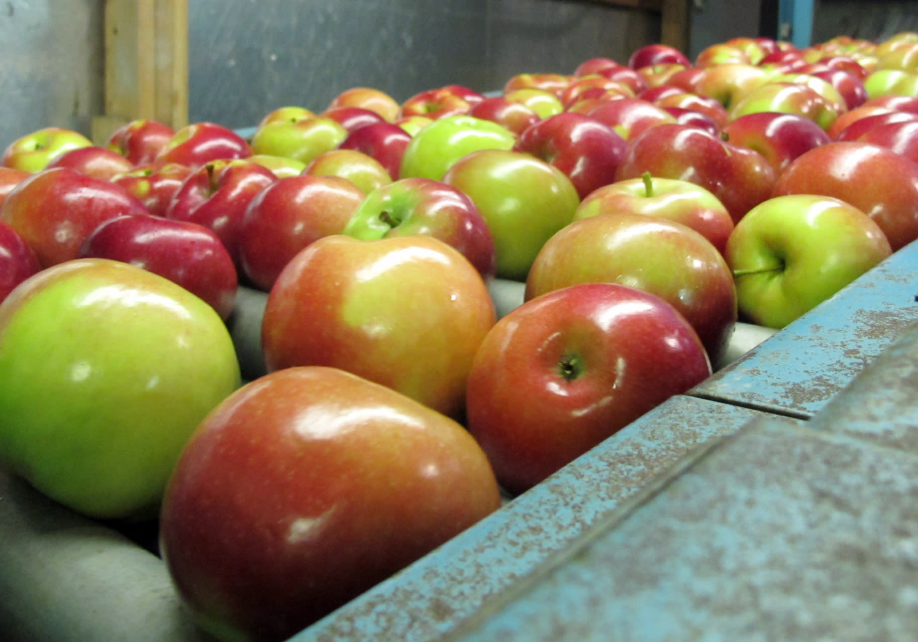 Apple Ripening Chart Michigan