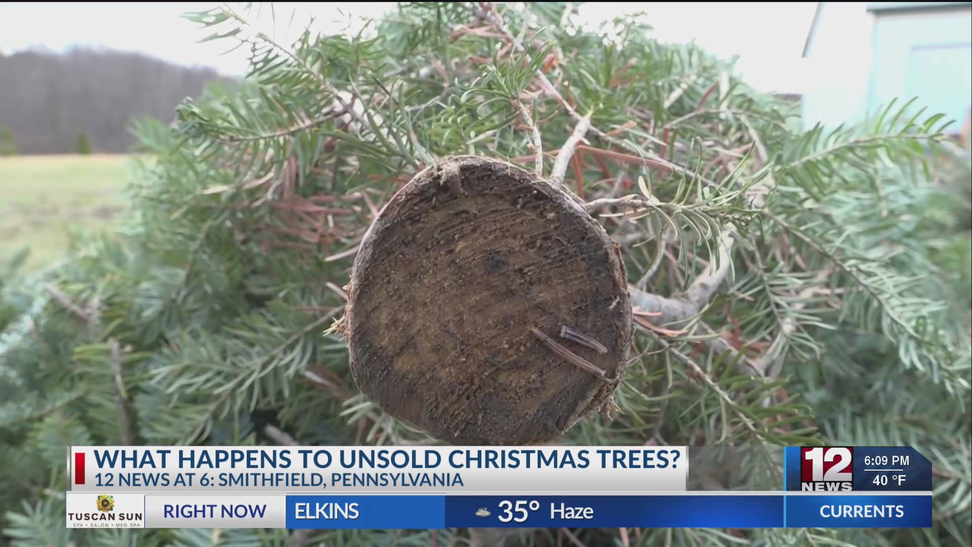 Here's when to take down your Christmas tree, according to tradition