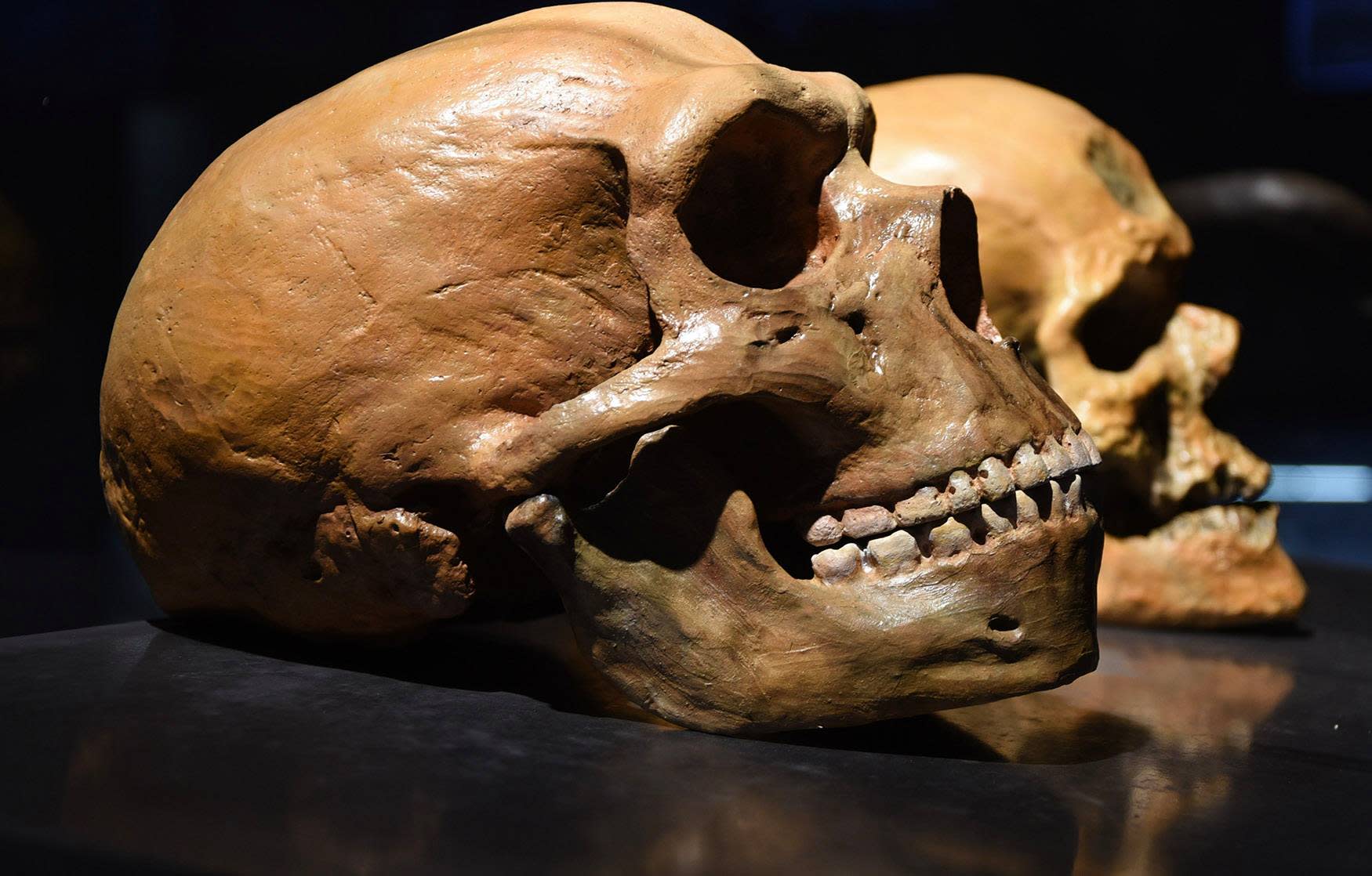 Neanderthal kids were just as obnoxious as human children - Yahoo Entertainment