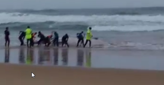 Stranded Whale In Sawtell Survives Night But Poor Weather Hampers Rescue Efforts