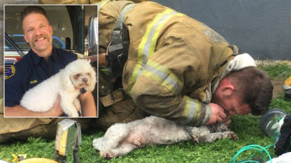 Firefighter Rescues Motionless Dog From Apartment Fire Using Mouth-To-Snout Resuscitation