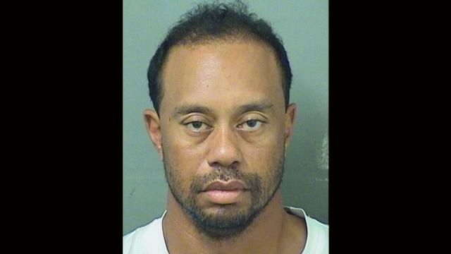 Tiger Woods mug shot.
