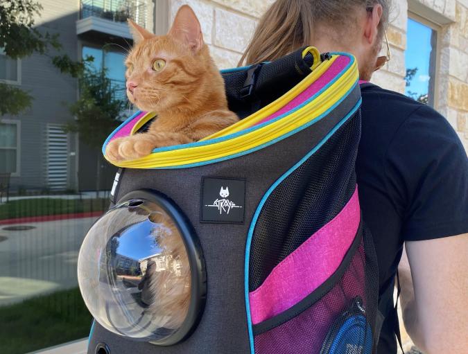 The Morning After: 'Stray' tie-in merch features a limited-edition cat backpack