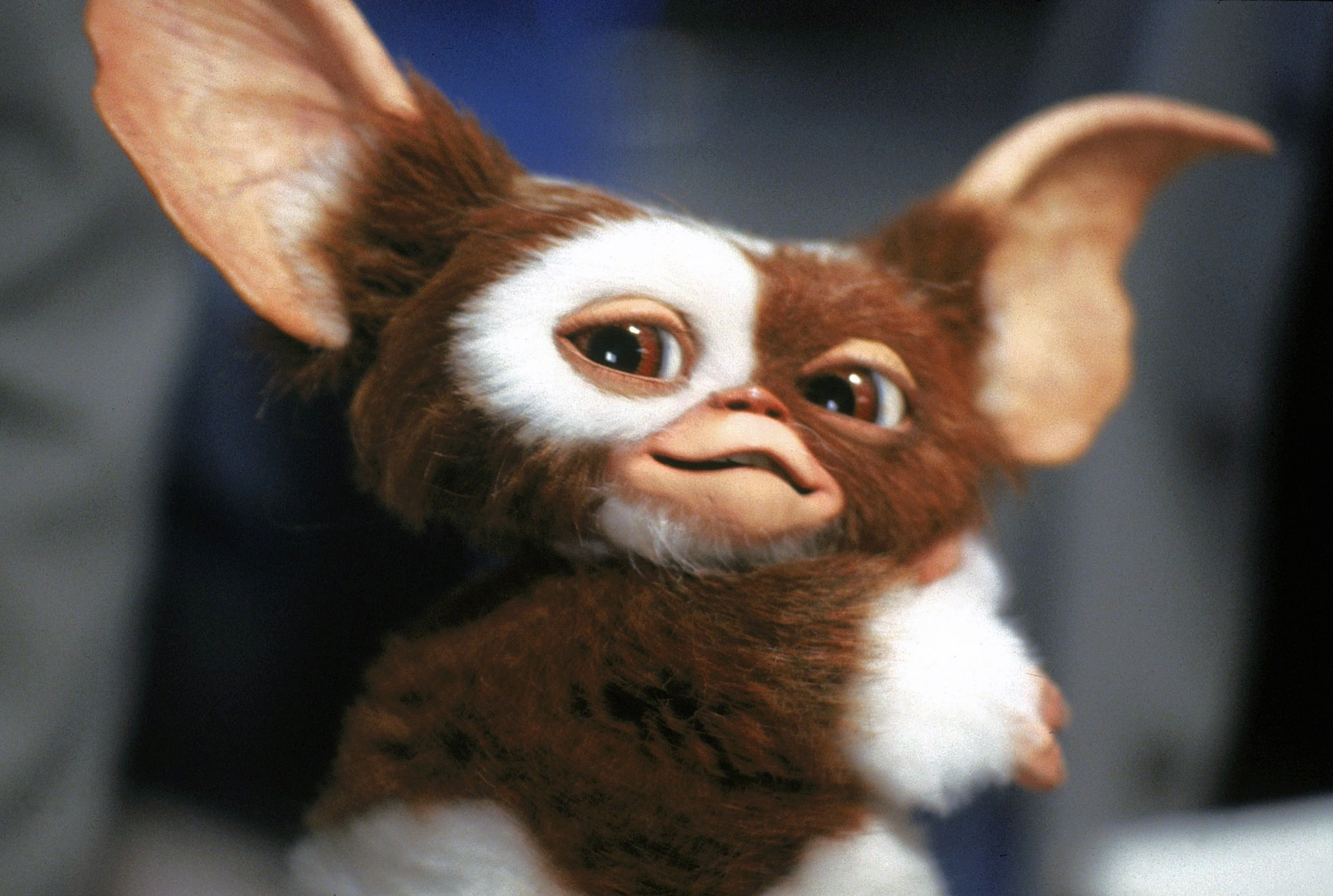 gizmo