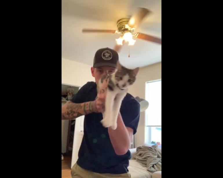 Shotgun Cat Accidentally Misfires With A Meow Video