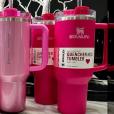 New Starbucks X Stanley Pink Cup Is An Instant Hit At Target