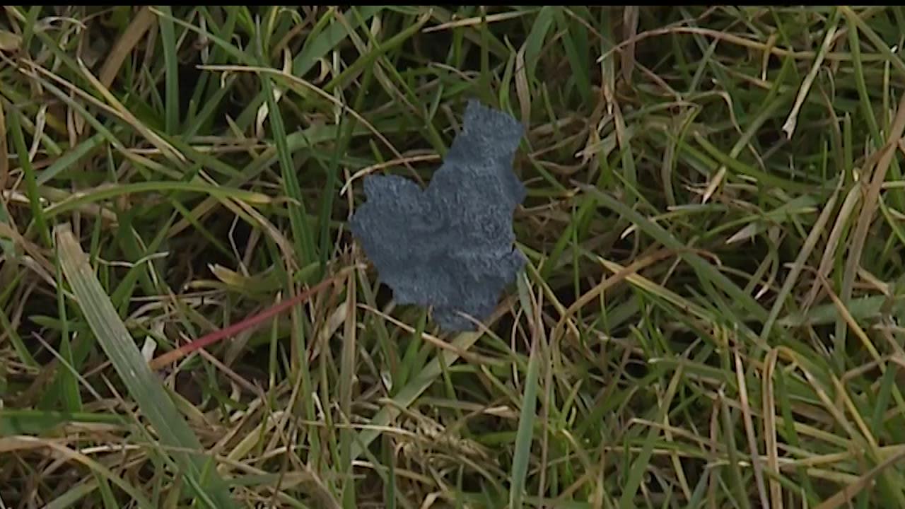 FLake Festival medallion found in Bridle Pass Park, Local News