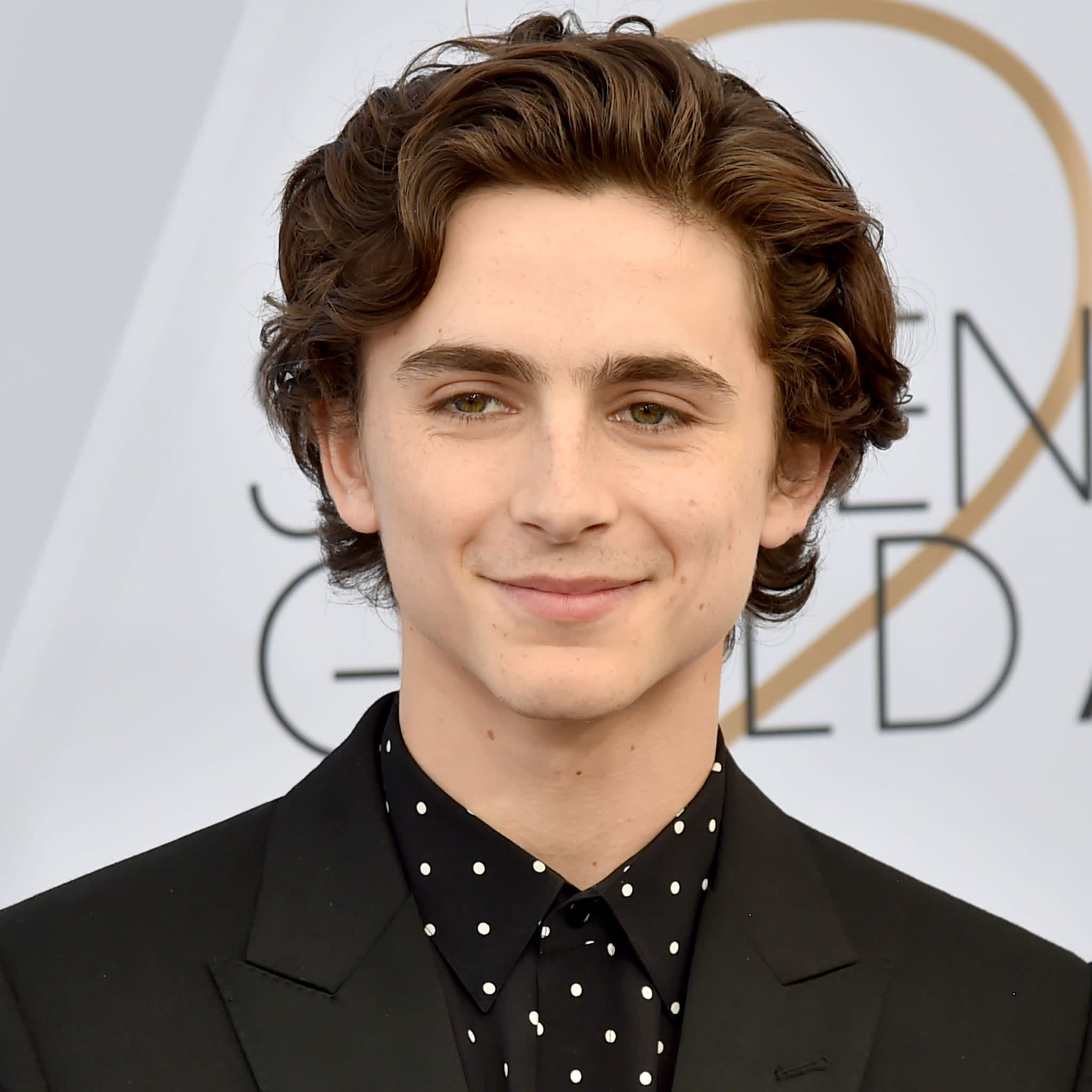 Timothée Chalamet and Saoirse Ronan Reunite For Wes ...