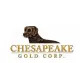 Chesapeake Gold Announces Stock Option Grant