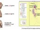 Angel Wing Metals Provides Exploration Update and Files NI 43-101 Geological Report at La Reyna Project