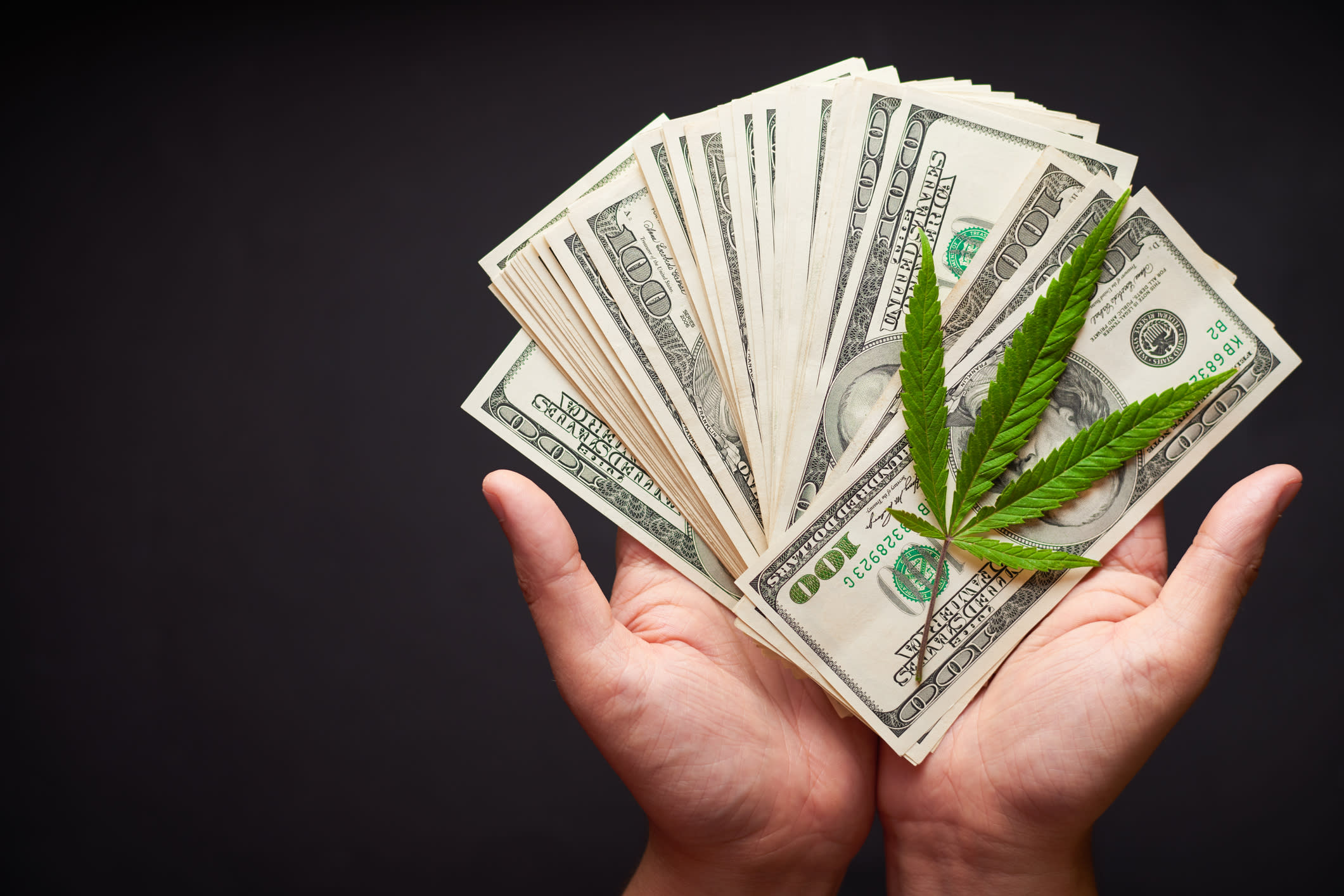 Why CannTrust Holdings Stock Is Sinking Today