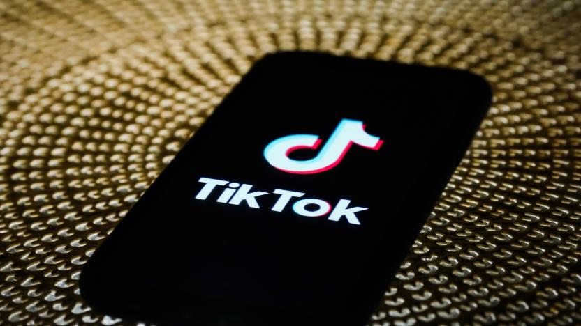 TikTok logo is seen displayed on a phone screen in this illustration photo taken on October 3, 2020. (Photo by Jakub Porzycki/NurPhoto via Getty Images)