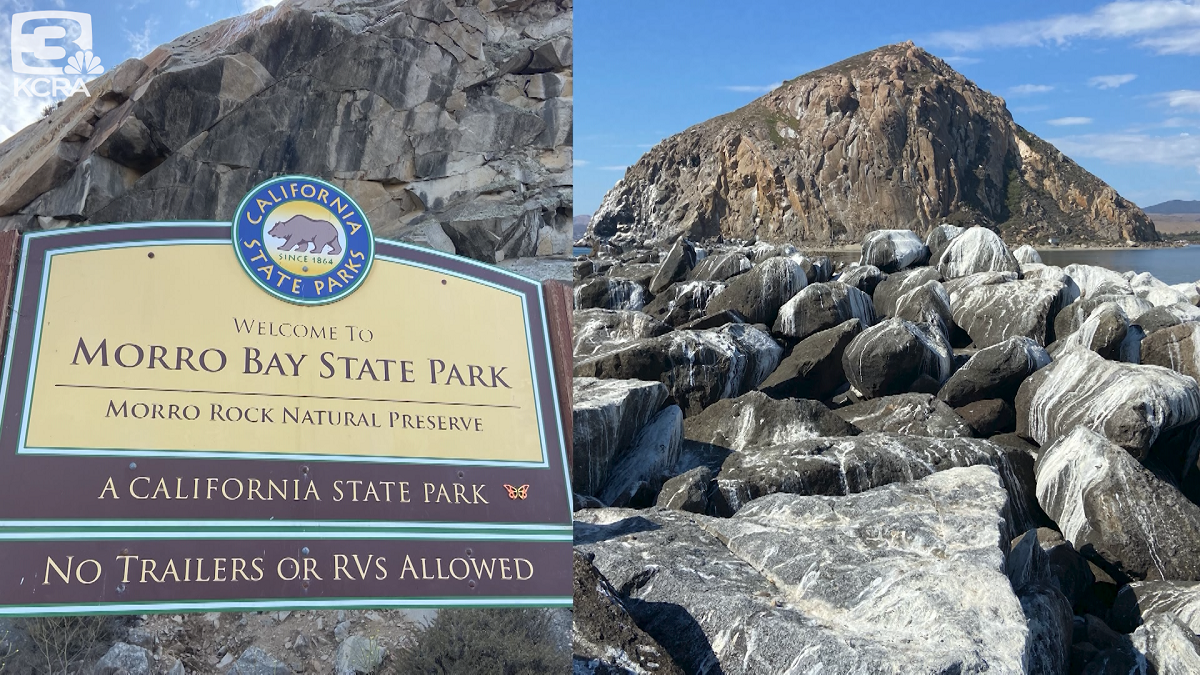 Exploring Morro Bay and Morro Rock - FueledByLOLZ