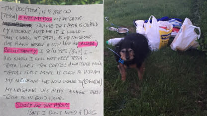 Senior Dog Abandoned in Field With Note &quot;I Don&apos;t Need A Dog&quot;