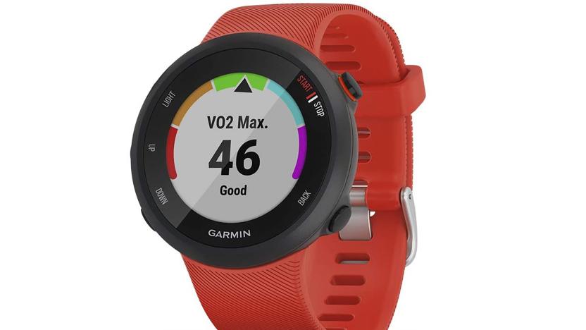 Garmin Forerunner 45 smartwatch in red