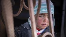 Reporte: Niños sirios sufren "estrés tóxico"