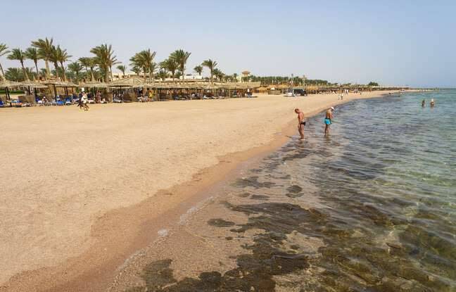 Egypt: A shark kills two European tourists in the Red Sea