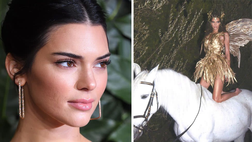 Kendall Jenner Horse Picture Attracts Criticism