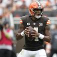 Browns' Deshaun Watson avoids ejection after pushing official