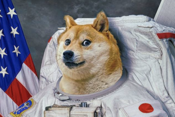 Elon Musk Tweets In Support Of Dogecoin After Price Grows 4 In A Day