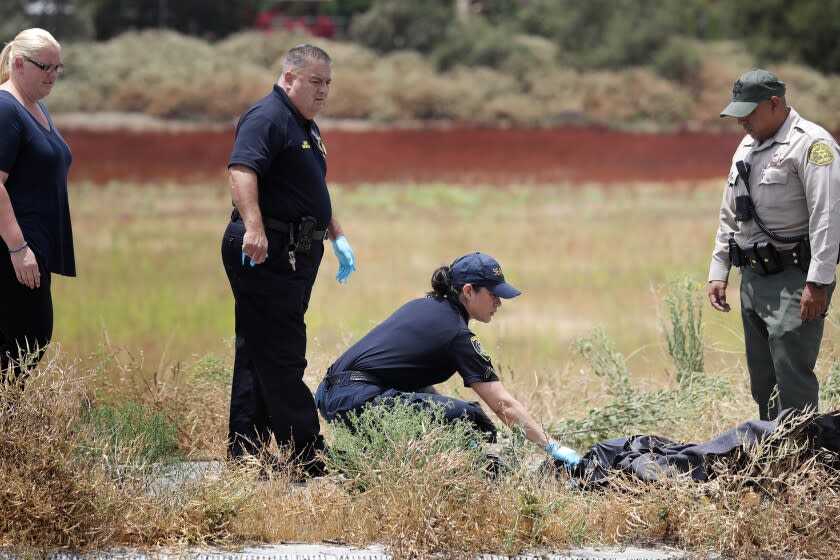 Lightning kills woman, 2 dogs as thunderstorms pound Southern California