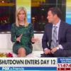 Fox News' Ainsley Earhardt Says Government Shutdown Merely 'An Inconvenience'