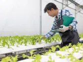 3 Stock Picks to Ride the Vertical Farming Wave