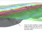 Renforth Proves 2.5km of Geologically Continuous Battery Metals at Victoria