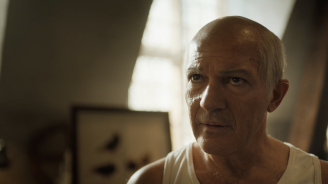 How Antonio Banderas Becomes Pablo Picasso For Genius