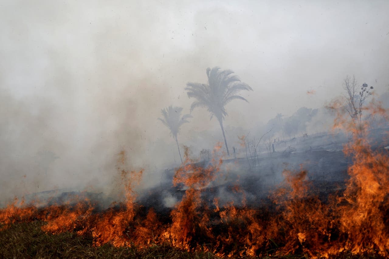 Пожары в Амазонке. Fire on the Amazon.