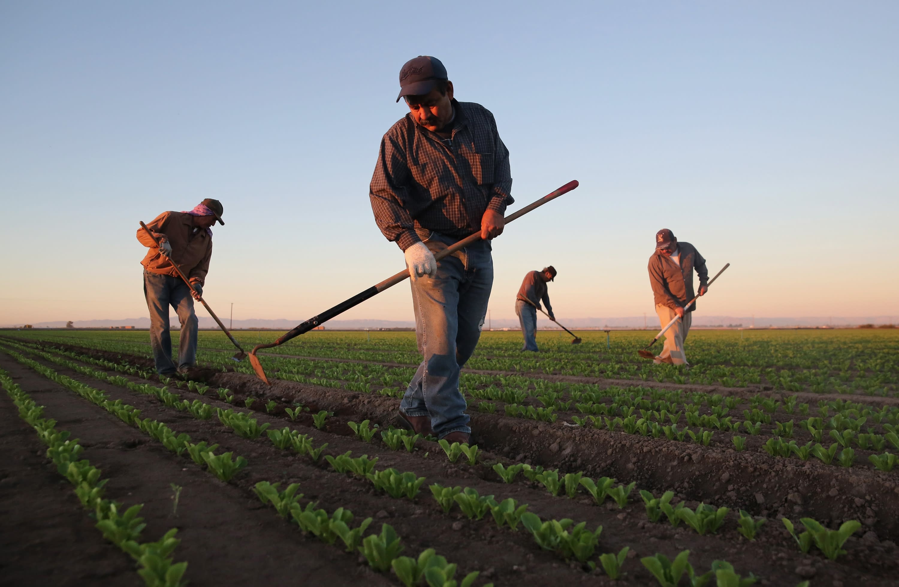 Los abusos que sufren inmigrantes legales con trabajo temporal en EEUU