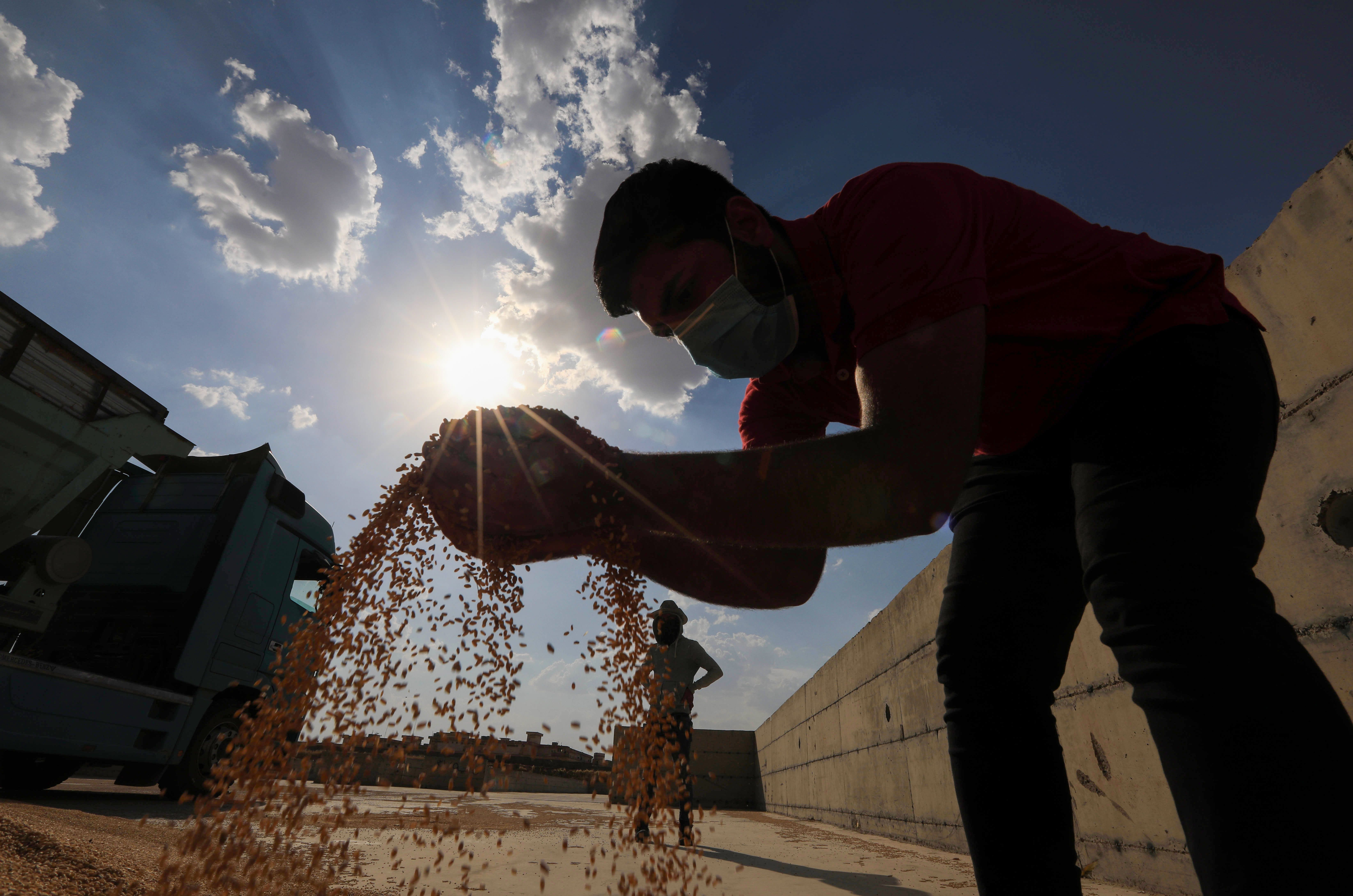 Iraq Set to Reduce Food Imports by Boosting Wheat Production - Yahoo Canada Finance
