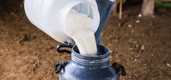 
Raw milk's popularity is surging. Here's why experts say that's dangerous.