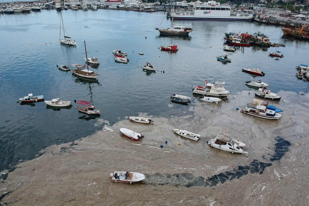 Türkiye, Marmara Denizi kıyılarında bir “deniz mukusu” salgınıyla boğuşuyor