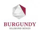 Burgundy Diamond Mines reports fourth quarter results