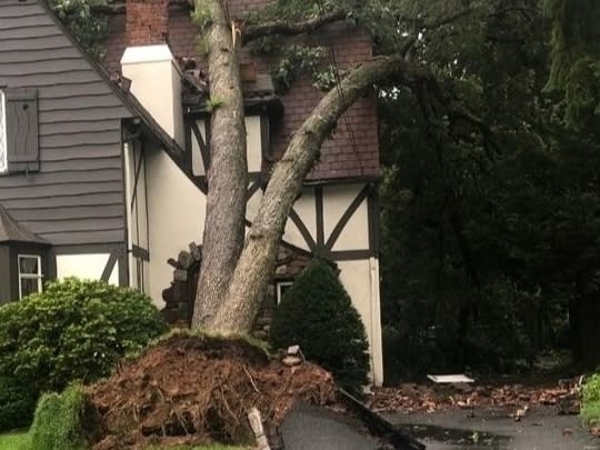 Thousands Still Without Power In Essex County After Storm