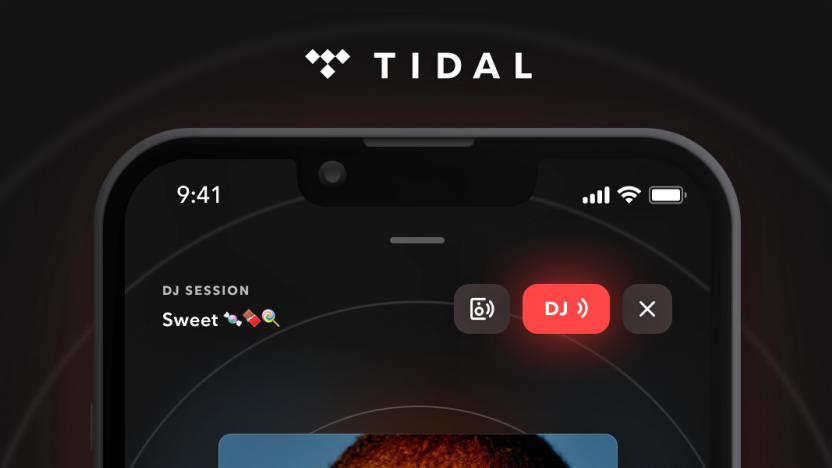 A screenshot of the Tidal app, showing the DJ feature.