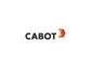 Cabot Corporation to Announce Second Quarter 2024 Operating Results