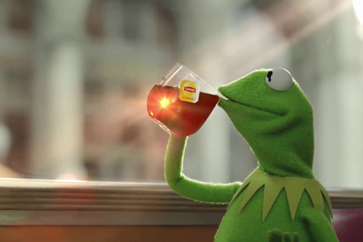 Some maniac at Good Morning America called Kermit the Frog 'Tea Lizard...