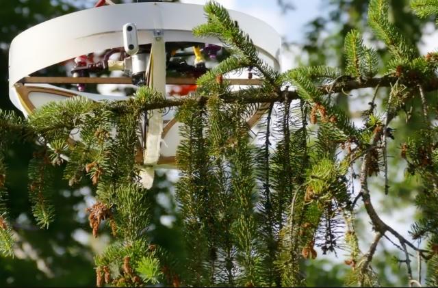 Photo of a drone designed to collect eDNA from hard-to-reach tree branches. It has an attached sticky cage and is leaning against a pine tree branch.