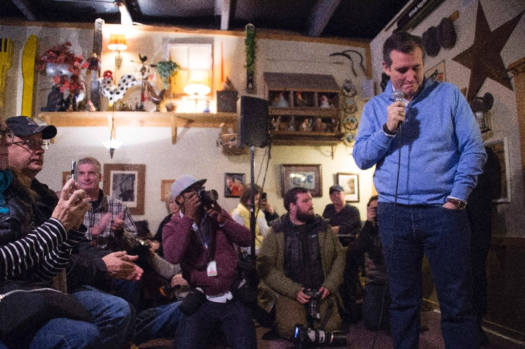 Ted Cruz: Tea Party firebrand aims to storm White House