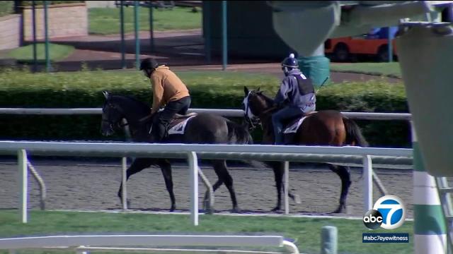 27th horse dies after suffering injury at Santa Anita Park