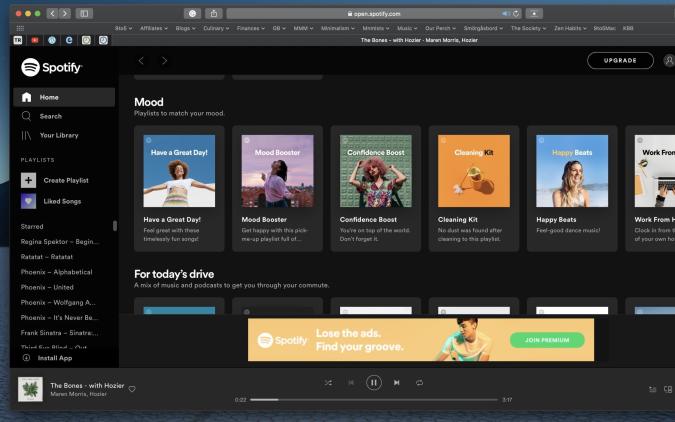 spotify web player mobile