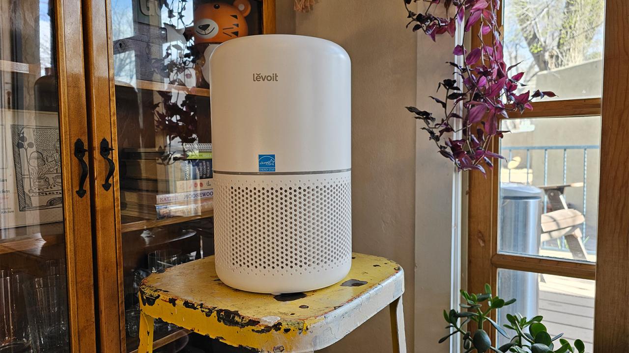 The 12 Best Air Purifiers for Allergies of 2024