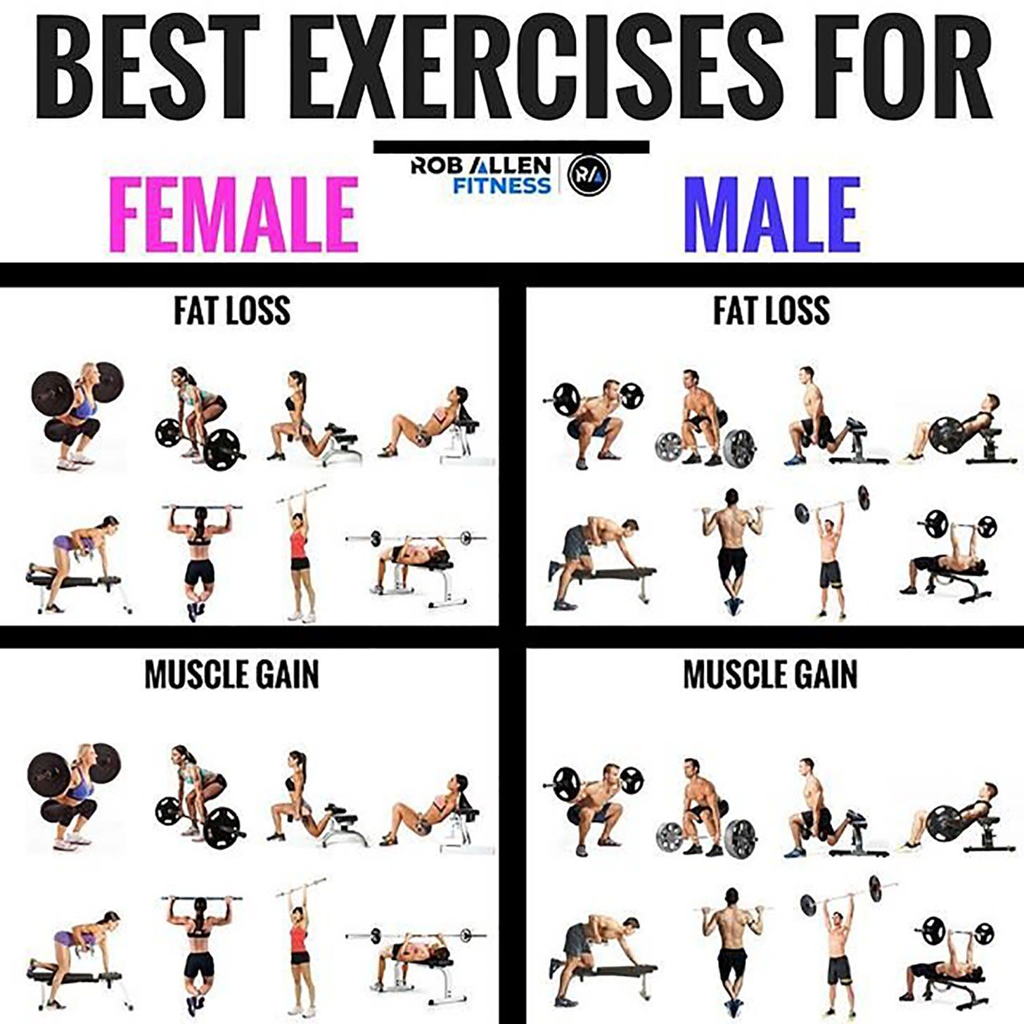 Most effective weight lifting exercises