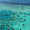 A rischio la sopravvivenza Grande Barriera corallina australiana