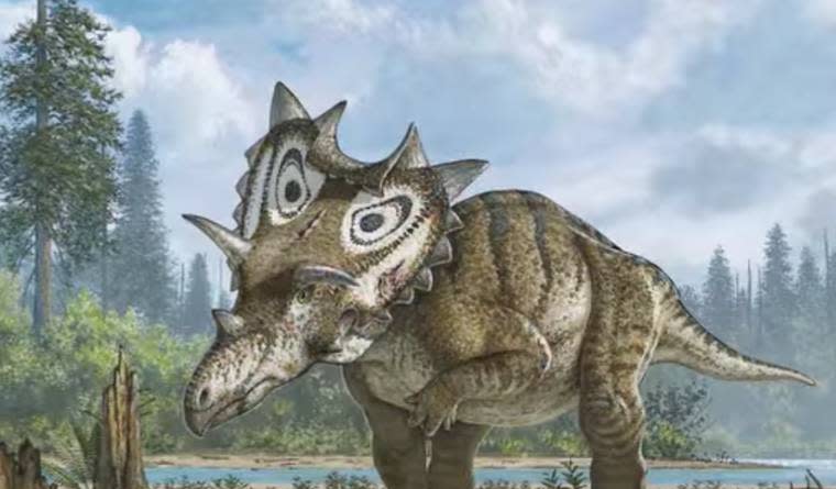 This Bizarre Newly Discovered Dinosaur Had A Shield For A Head